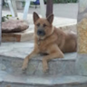 Meet your Posher, Carolina